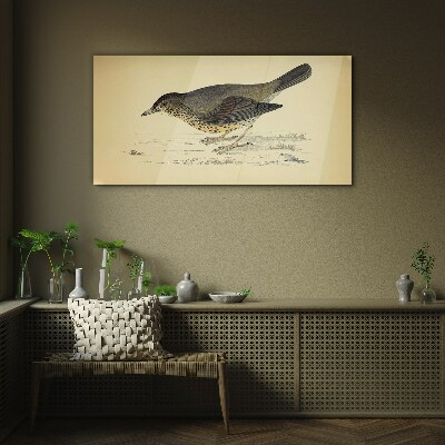 Bird drawing Glass Wall Art