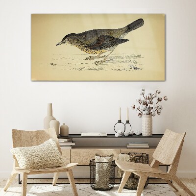 Bird drawing Glass Wall Art