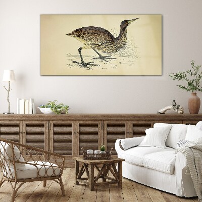 Bird drawing Glass Wall Art