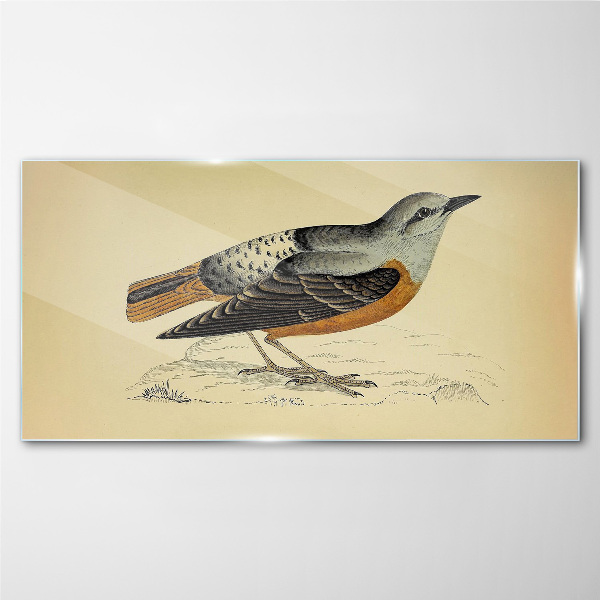Bird in pastel shades Glass art print