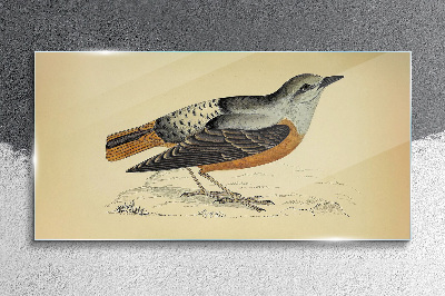 Bird in pastel shades Glass art print