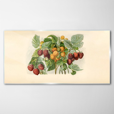 Fruit berries Glass Print
