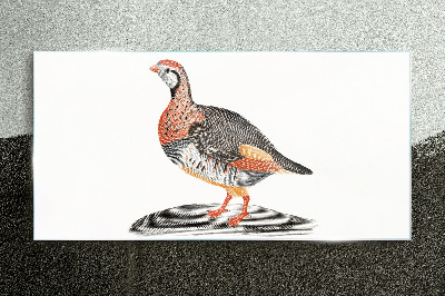 Bird elegance in pastel colors Glass art print