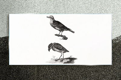 Drawing animals birds Glass Print