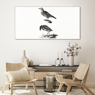 Drawing animals birds Glass Print