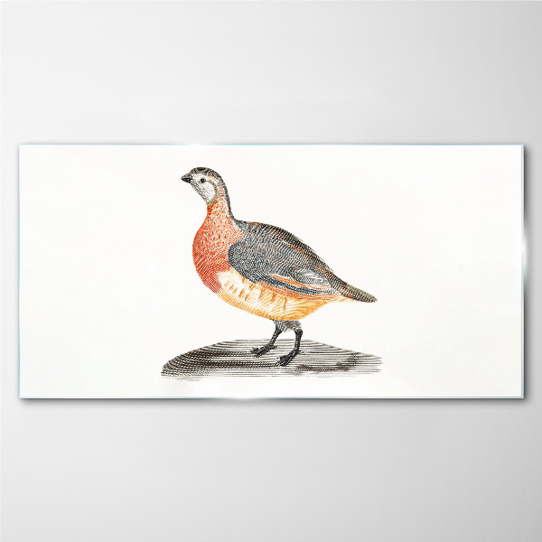 Happy bird on a white background Glass art print