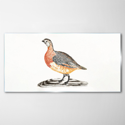Happy bird on a white background Glass art print