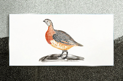 Happy bird on a white background Glass art print