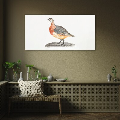Happy bird on a white background Glass art print