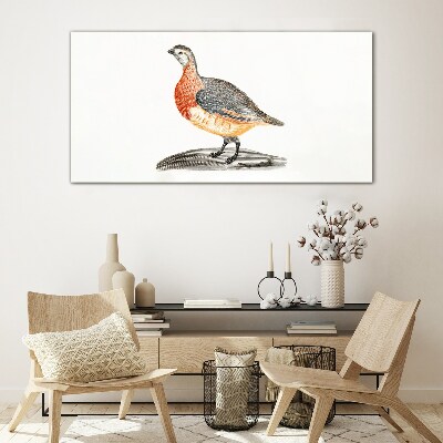Happy bird on a white background Glass art print