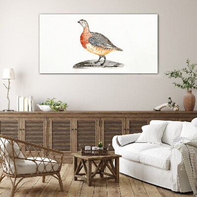 Happy bird on a white background Glass art print