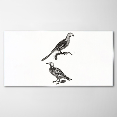 Drawing animals birds Glass Print