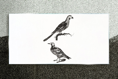 Drawing animals birds Glass Print