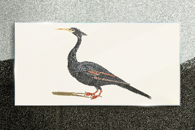 Black bird on white background Glass art print