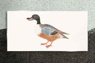 A duck in a colorful coat Glass art print