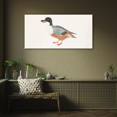 A duck in a colorful coat Glass art print
