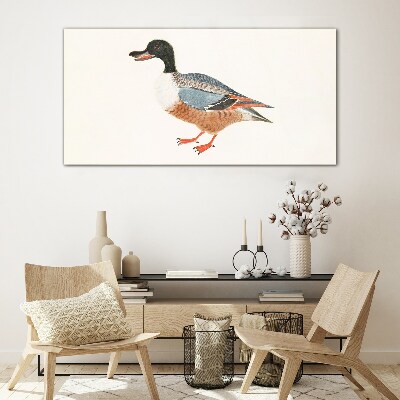 A duck in a colorful coat Glass art print
