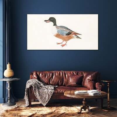 A duck in a colorful coat Glass art print