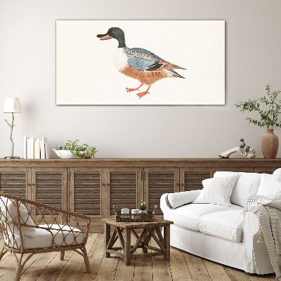 A duck in a colorful coat Glass art print