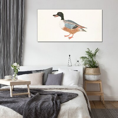 A duck in a colorful coat Glass art print