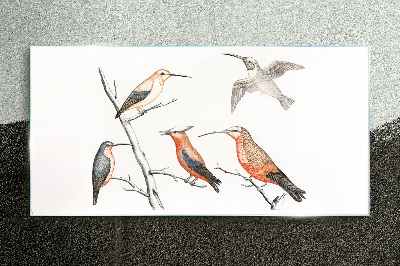 Colorful birds on a branch Wall art on glass