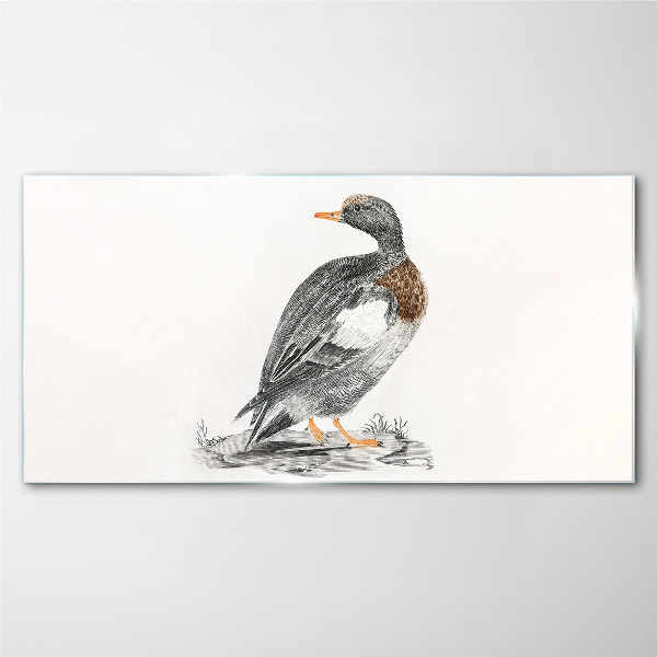Duck on a white background Wall art on glass