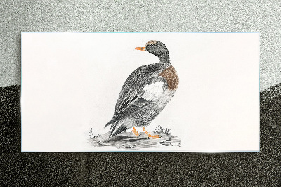 Duck on a white background Wall art on glass