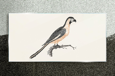 Bird on a branch Glass art print