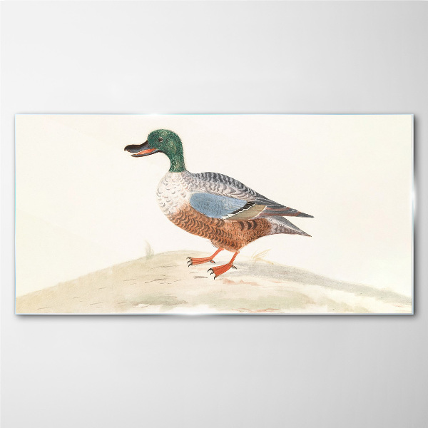 Duck against a background of delicate colors Wall art on glass
