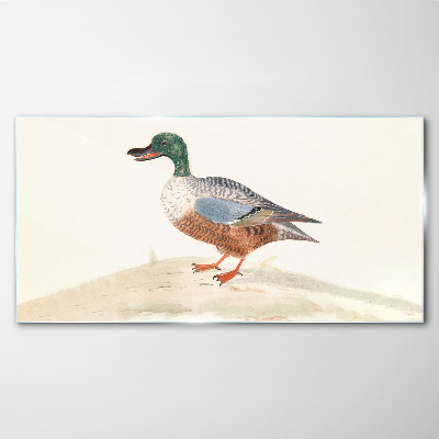 Duck against a background of delicate colors Wall art on glass