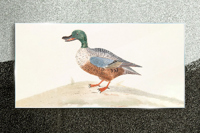 Duck against a background of delicate colors Wall art on glass