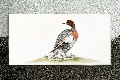Duck on a natural background Glass art print