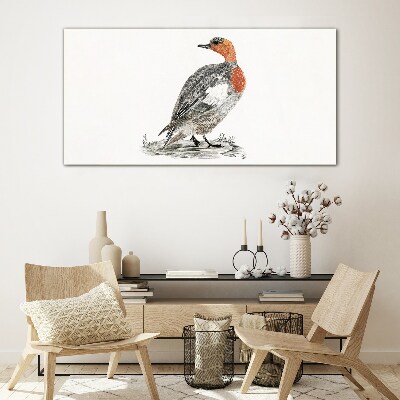 Drawing animal bird duck Glass Print