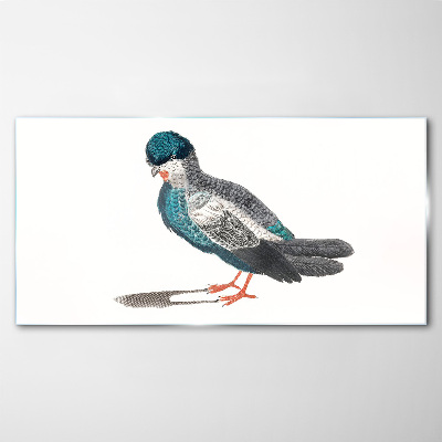 Colorful bird on white background Wall art on glass