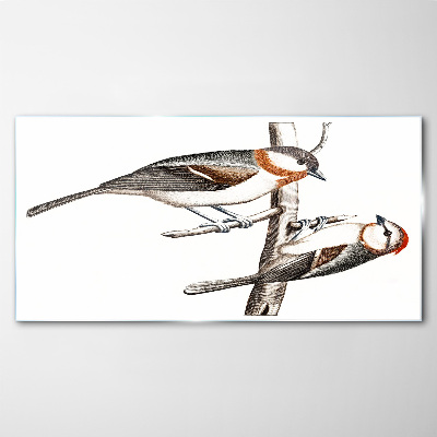 Nightingales on a branch Glass art print