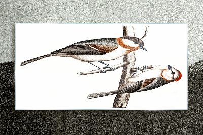 Nightingales on a branch Glass art print