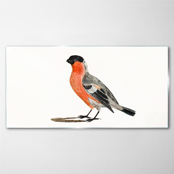 Robin against a white background Wall art on glass