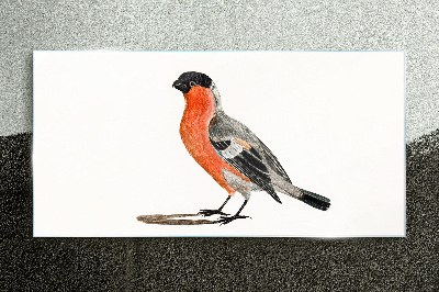 Robin against a white background Wall art on glass
