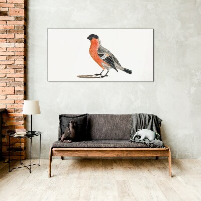 Robin against a white background Wall art on glass