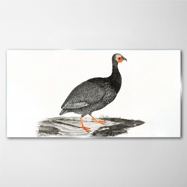 Drawing animal bird Glass Print