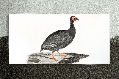 Black bird on white background Glass art print