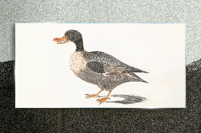 Duck in naturalistic style Glass art print