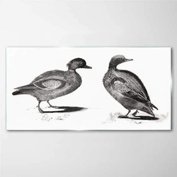 Two ducks in a monochromatic style Glass art print