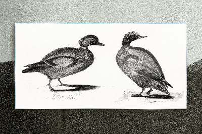 Two ducks in a monochromatic style Glass art print
