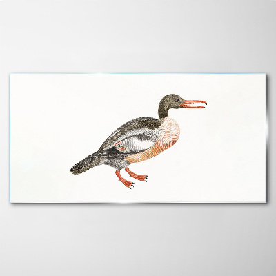 Duck on a white canvas background Wall art on glass