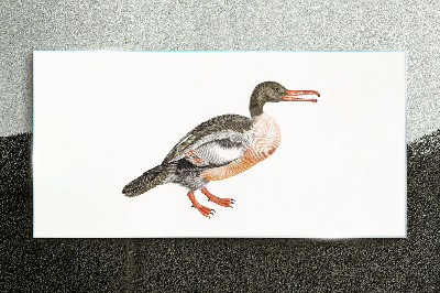 Duck on a white canvas background Wall art on glass
