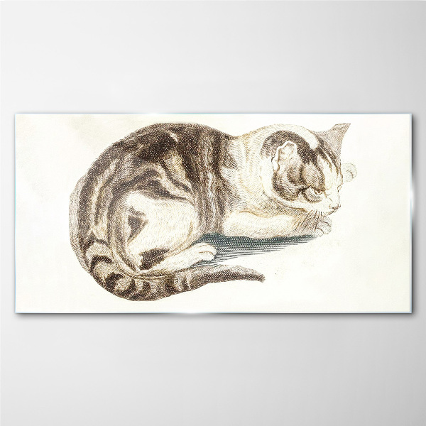 Sleepy cat on white background Wall art on glass