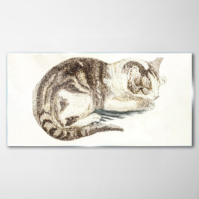 Sleepy cat on white background Wall art on glass