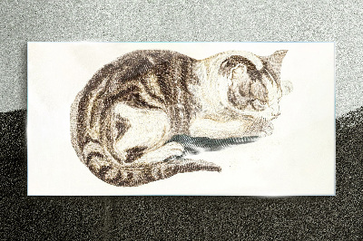 Sleepy cat on white background Wall art on glass