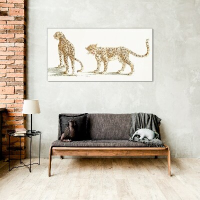 Pets cats leopards Glass Print